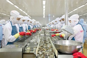 Mitsui mua cổ phần Minh Phú - Hậu Giang với giá 15.000 đồng/CP